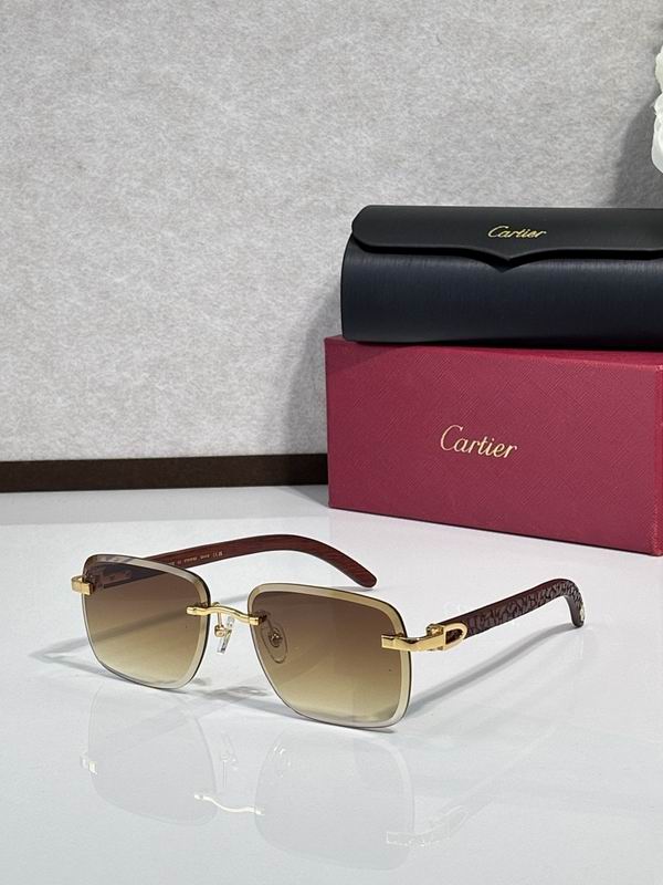 Cartier Glasses smr101